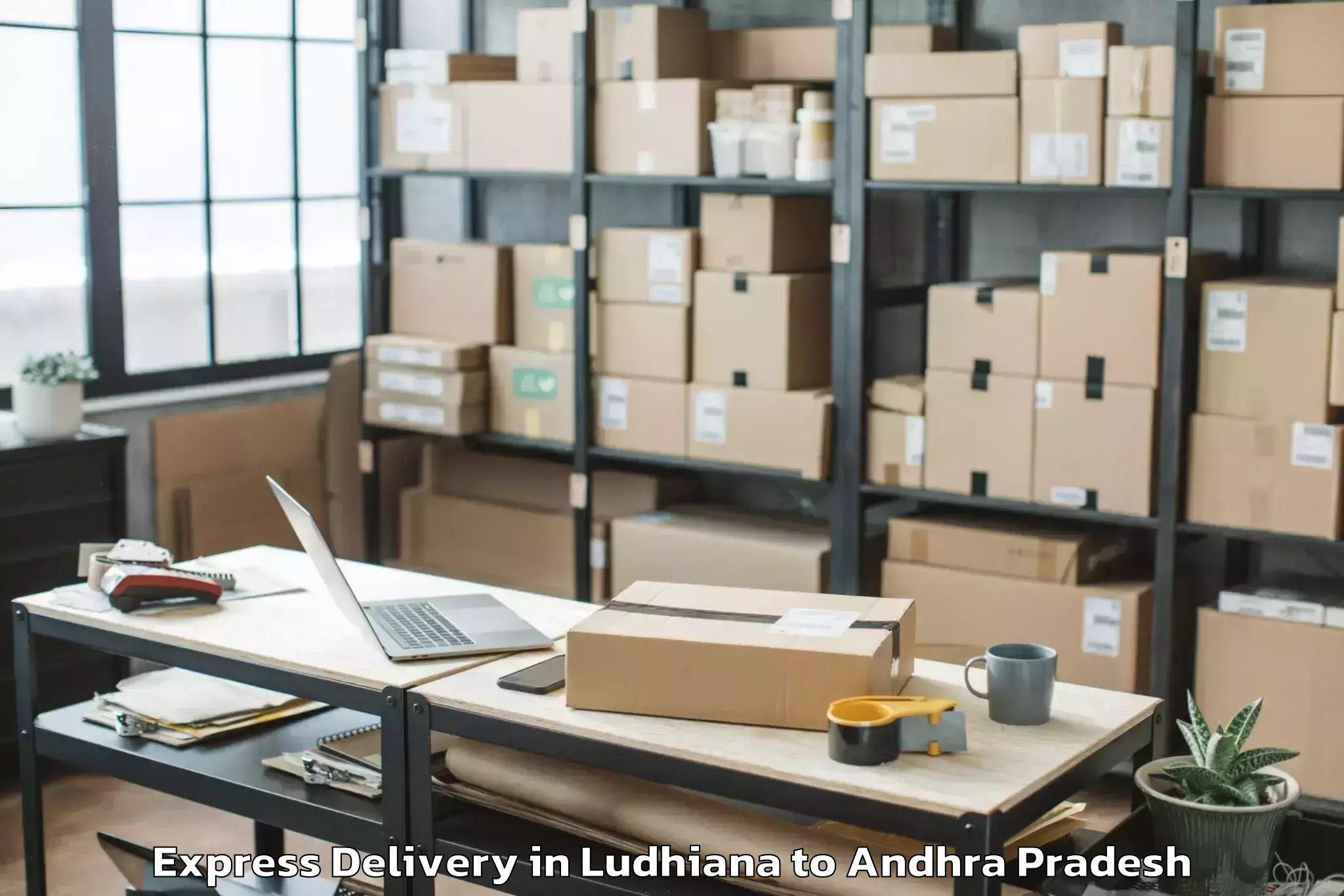 Professional Ludhiana to Vemulapalle Express Delivery